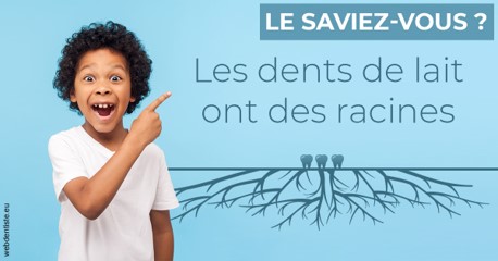 https://www.drbruneau.fr/Les dents de lait 2