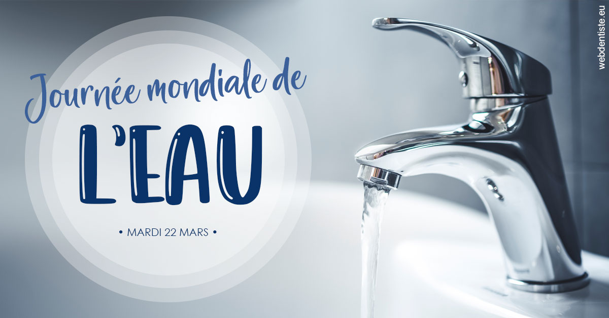 https://www.drbruneau.fr/La journée de l'eau 2