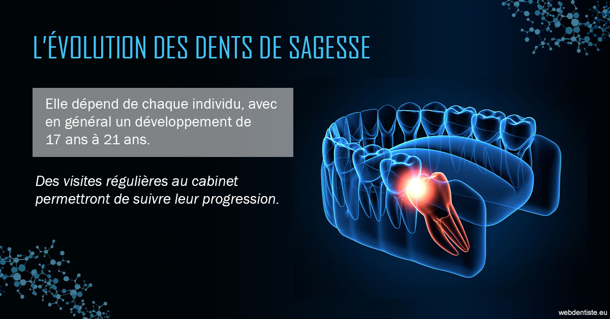 https://www.drbruneau.fr/2023 T4 - Dents de sagesse 01