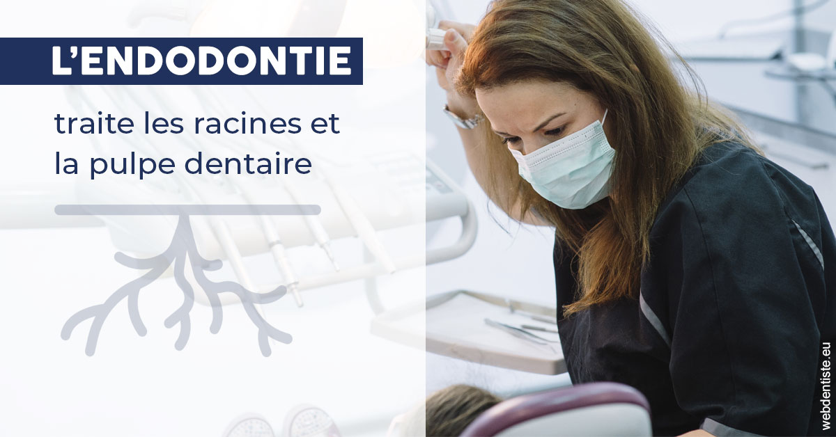 https://www.drbruneau.fr/L'endodontie 1