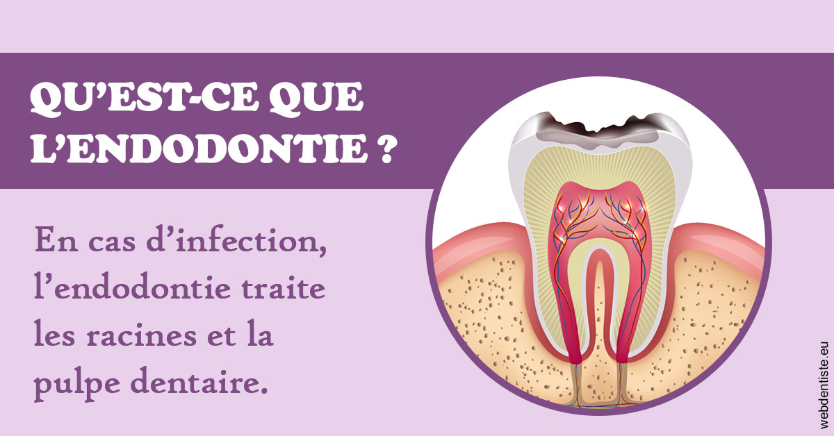 https://www.drbruneau.fr/2024 T1 - Endodontie 02