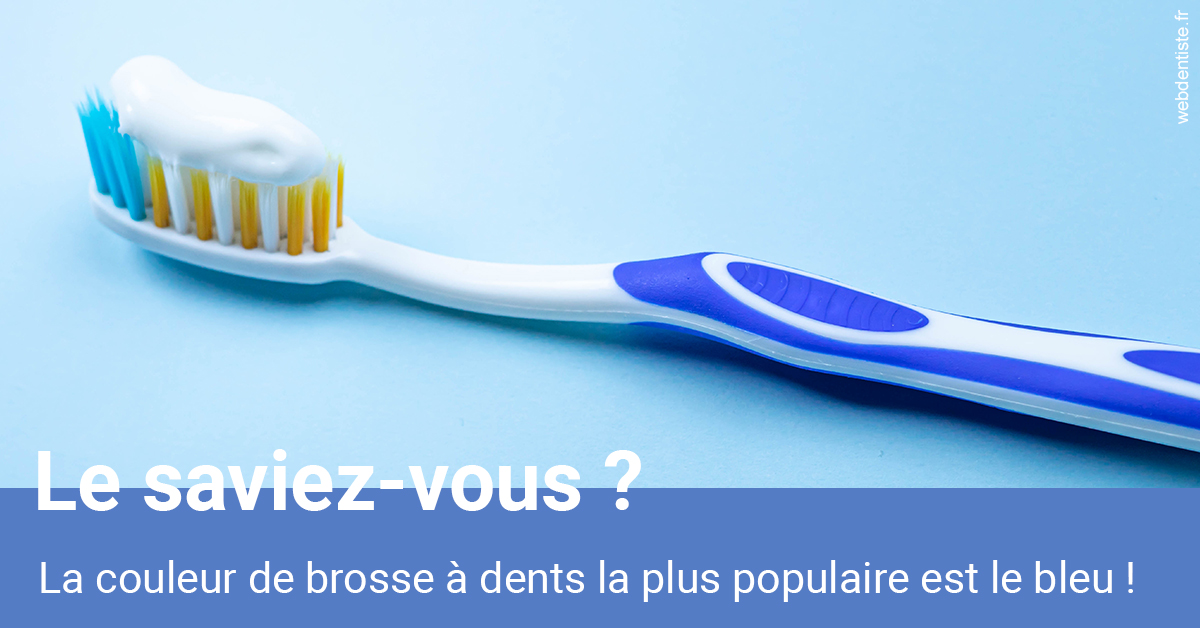 https://www.drbruneau.fr/Couleur de brosse à dents