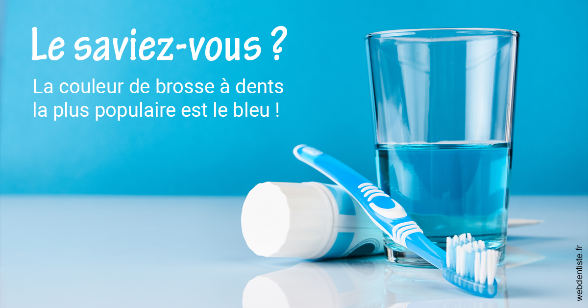 https://www.drbruneau.fr/Couleur brosse à dents 2