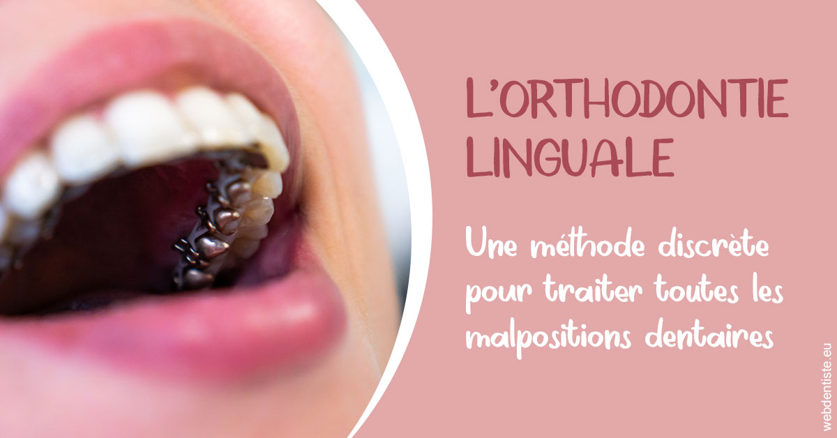 https://www.drbruneau.fr/L'orthodontie linguale 2