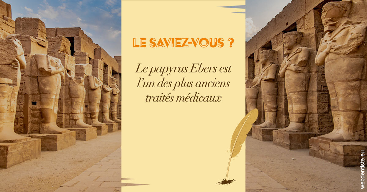 https://www.drbruneau.fr/Papyrus 2