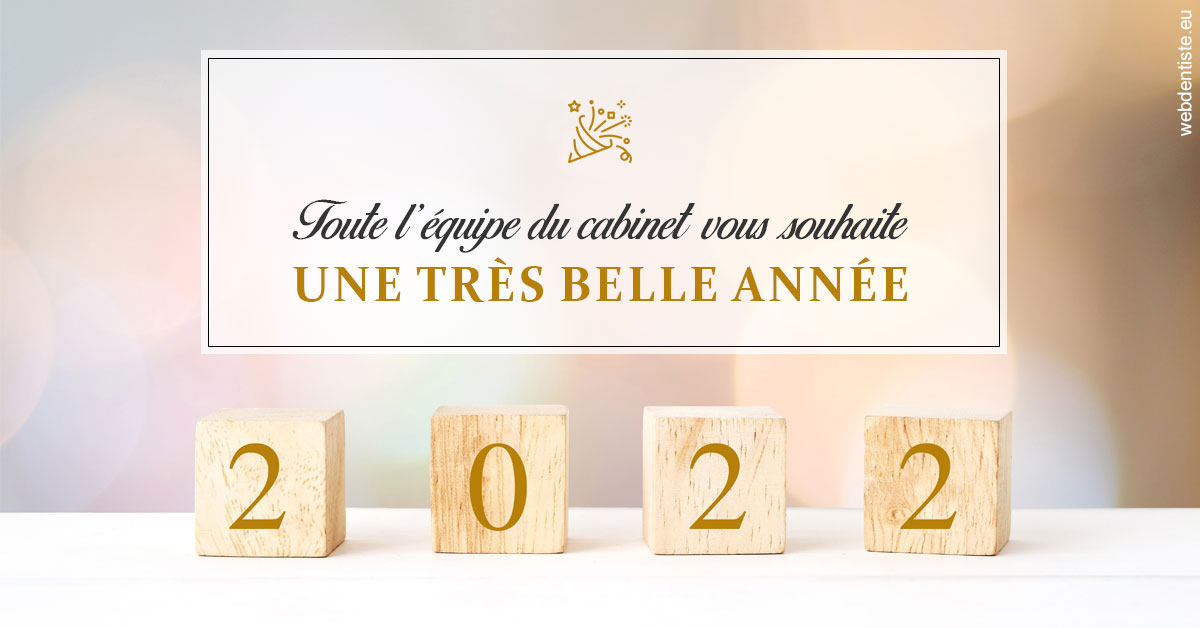 https://www.drbruneau.fr/Belle Année 2022 1
