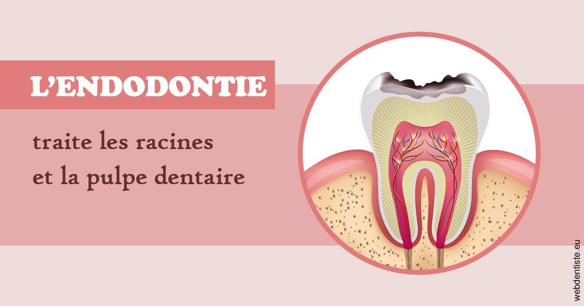 https://www.drbruneau.fr/L'endodontie 2