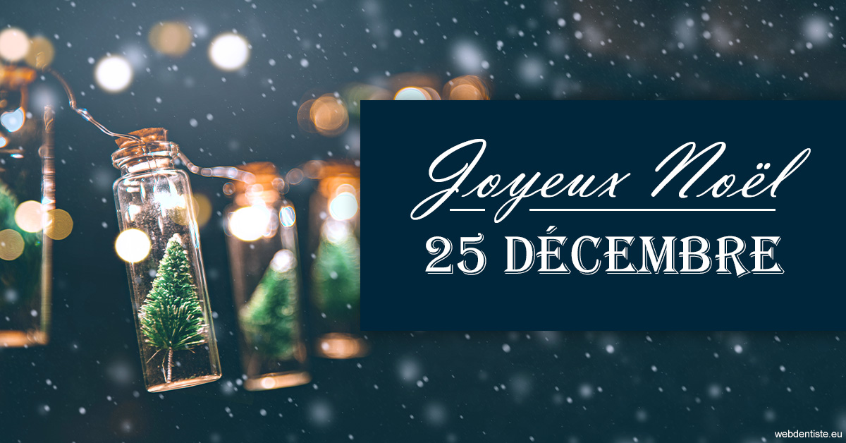 https://www.drbruneau.fr/2023 T4 - Joyeux Noël 01