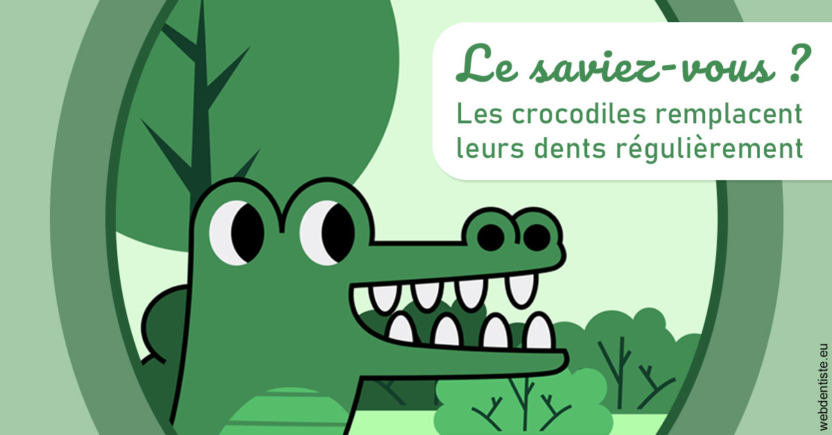 https://www.drbruneau.fr/Crocodiles 2
