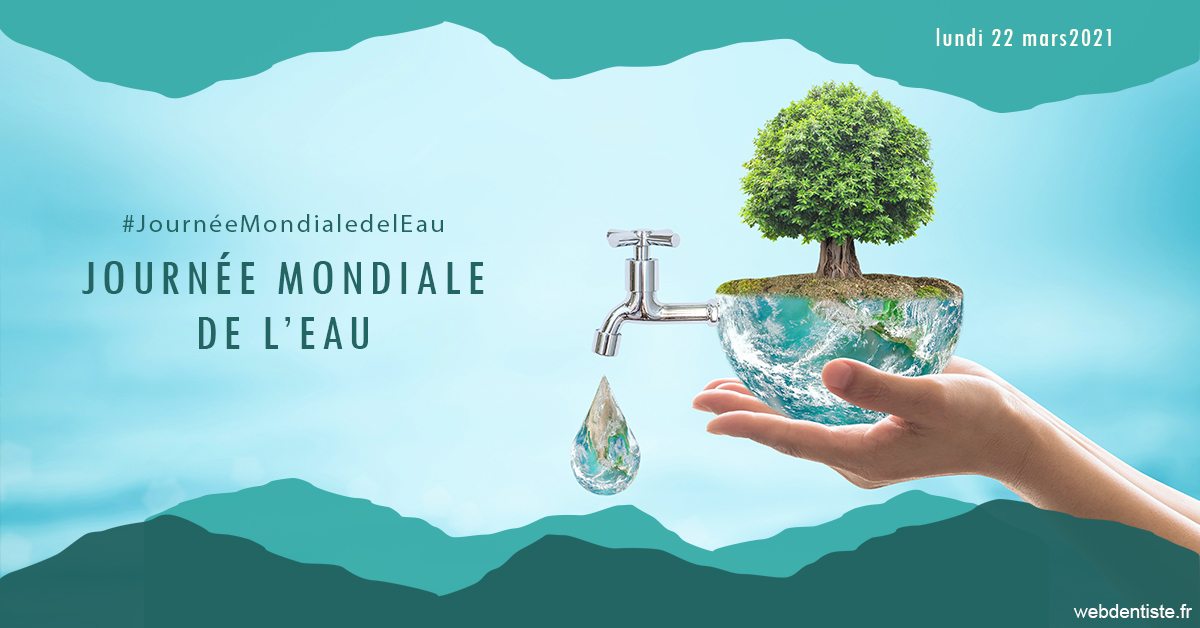 https://www.drbruneau.fr/Journée de l'eau 1
