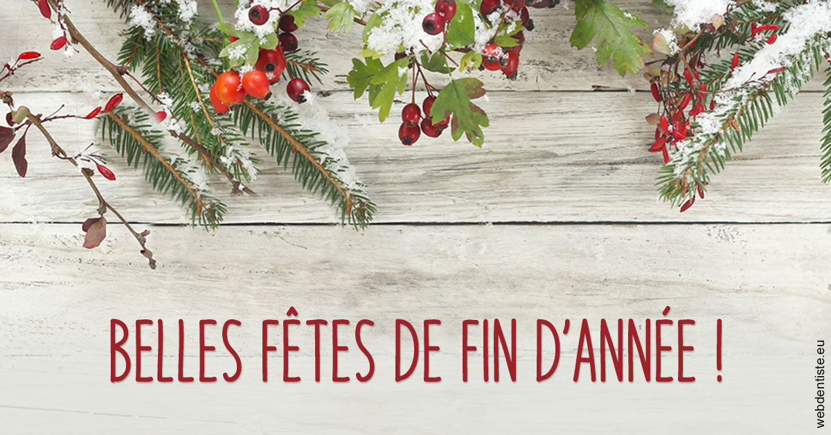 https://www.drbruneau.fr/Joyeux Noël 2
