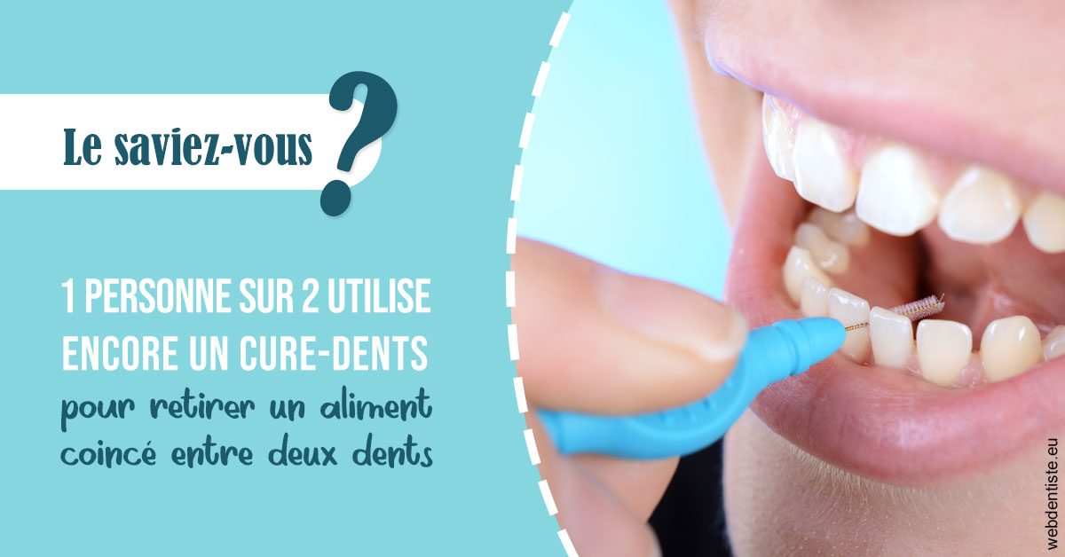 https://www.drbruneau.fr/Cure-dents 1