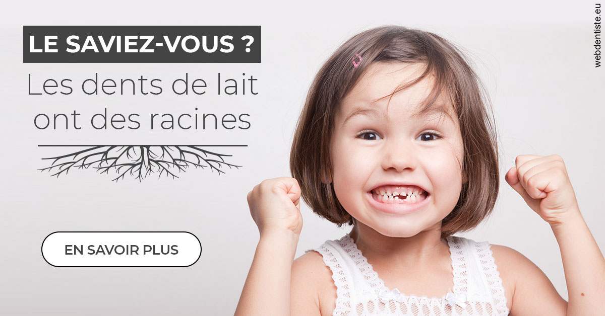 https://www.drbruneau.fr/Les dents de lait