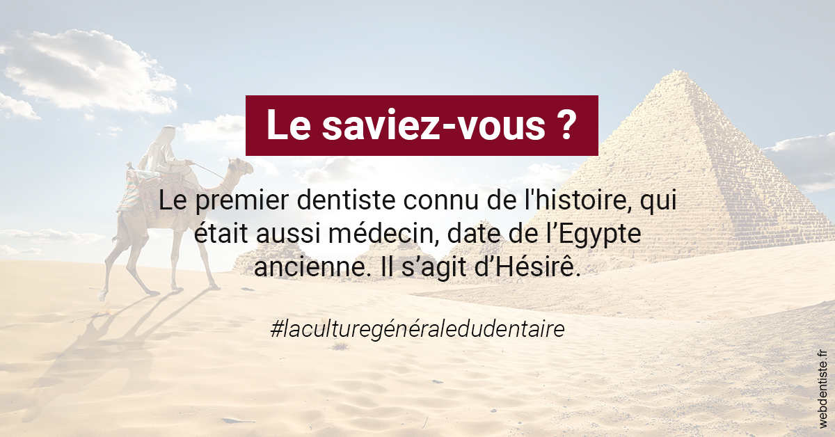 https://www.drbruneau.fr/Dentiste Egypte 2