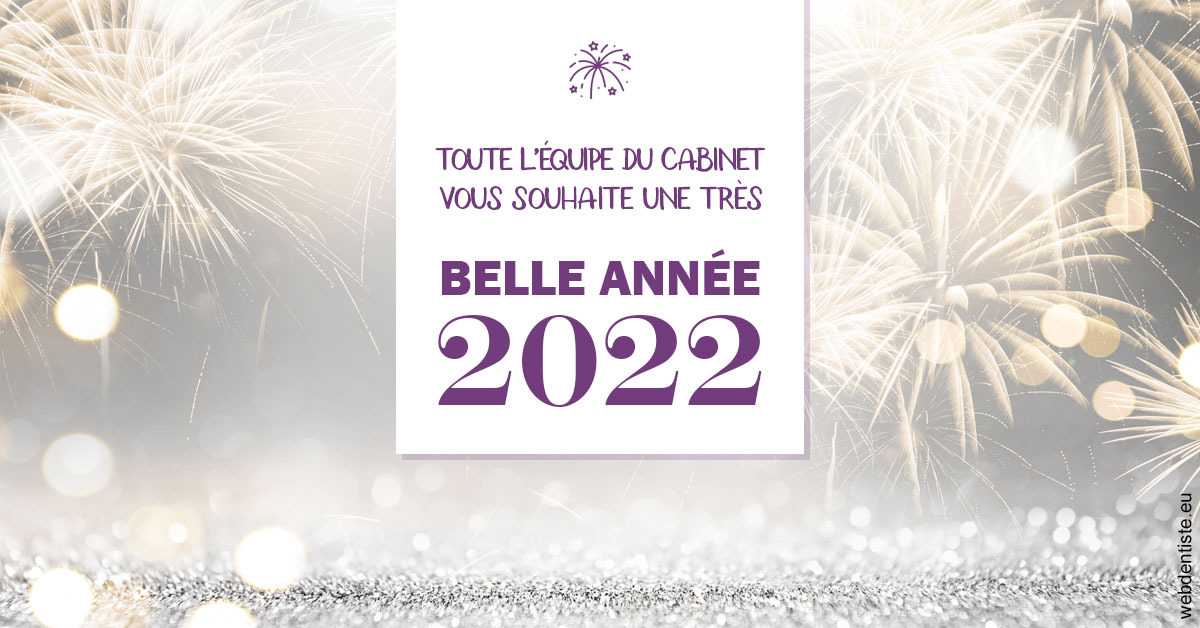 https://www.drbruneau.fr/Belle Année 2022 2