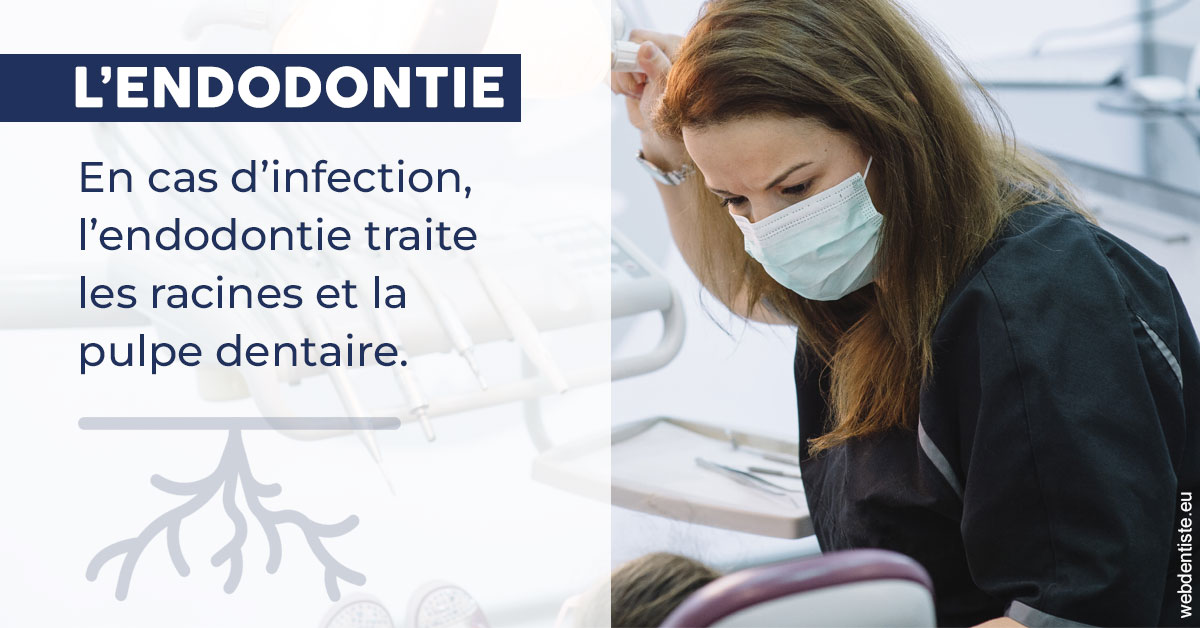 https://www.drbruneau.fr/L'endodontie 1