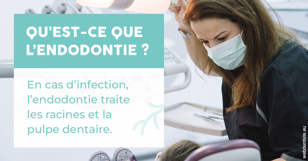 https://www.drbruneau.fr/2024 T1 - Endodontie 01