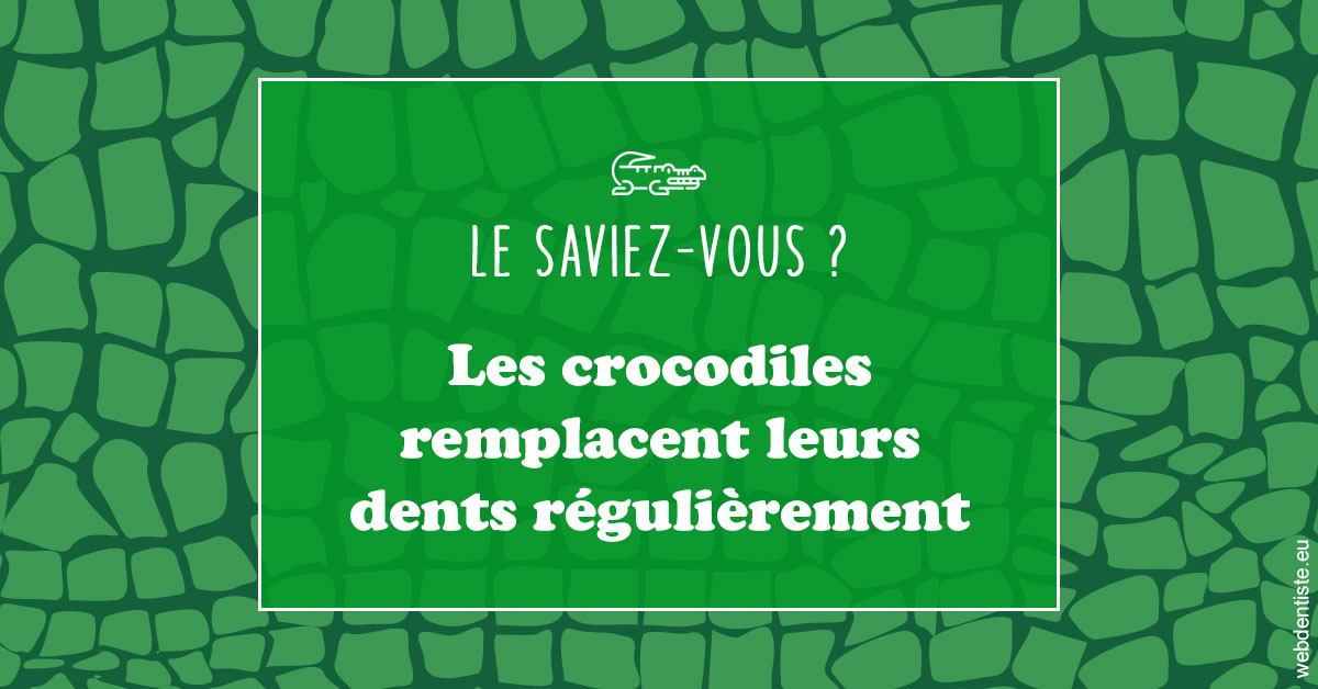 https://www.drbruneau.fr/Crocodiles 1