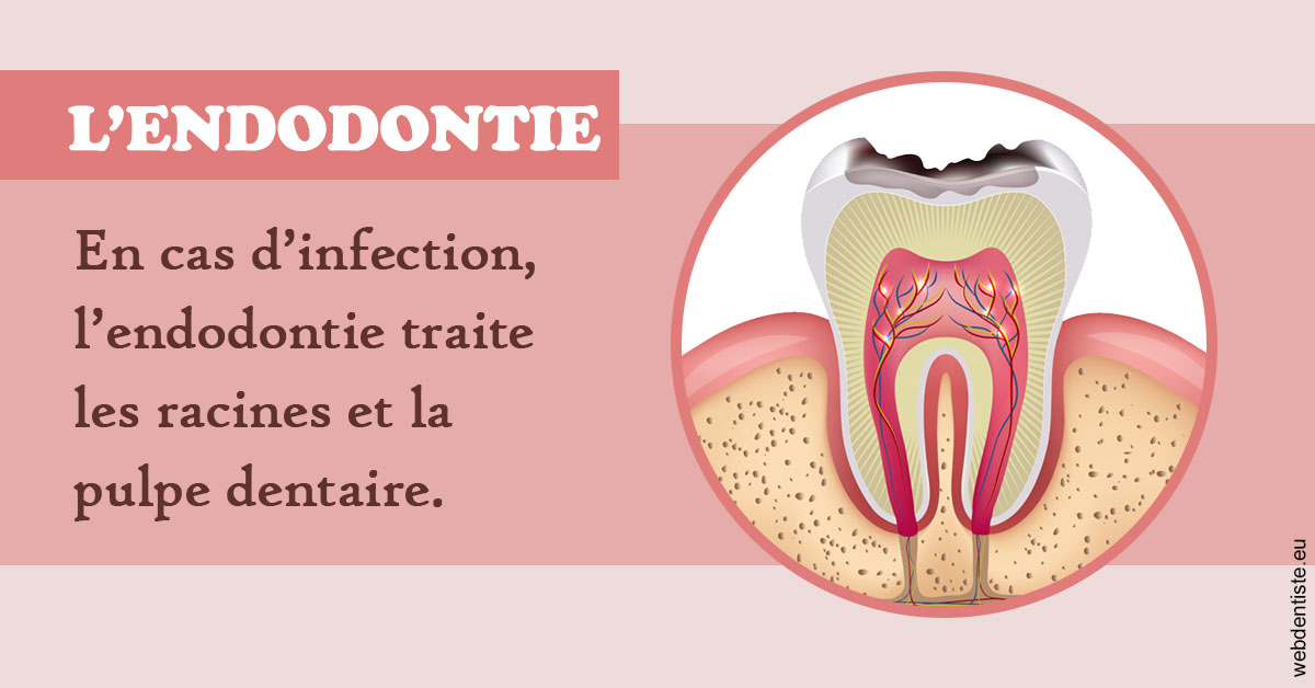 https://www.drbruneau.fr/L'endodontie 2